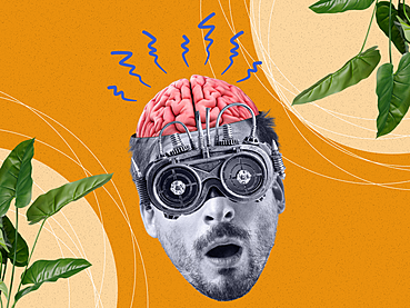 Из хаоса в систему: как мы на 40% увеличили посещаемость и в 2 раза конверсию блога в ITsheff